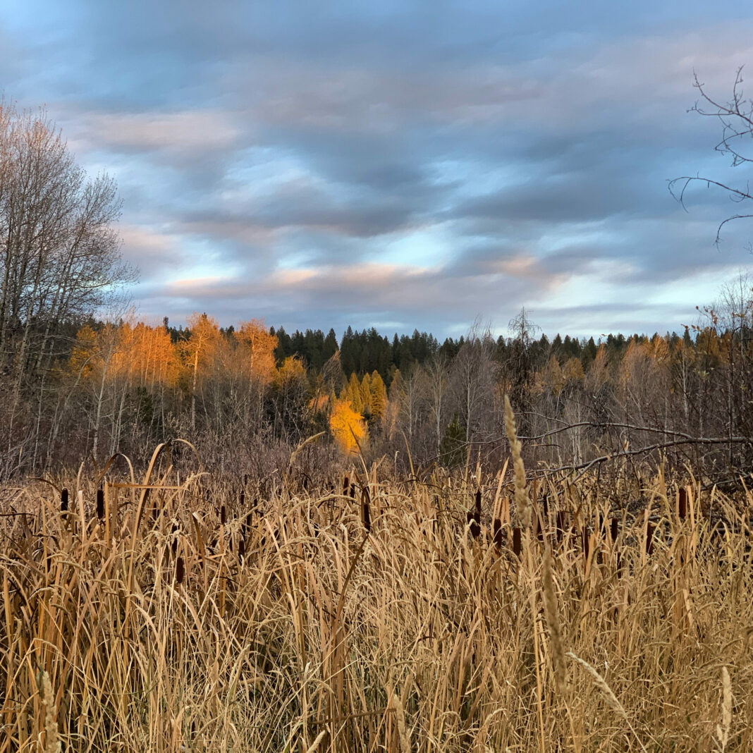 McCall US Forest Service
