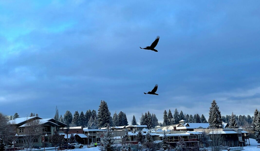 McCall
