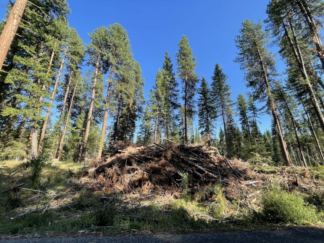 Ponderosa State Park