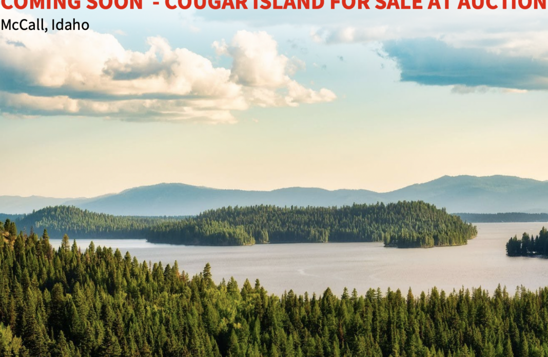 Cougar Island McCall