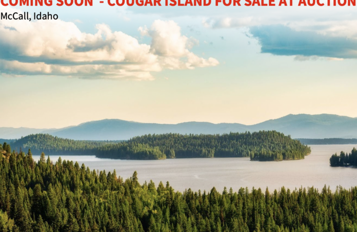 Cougar Island McCall