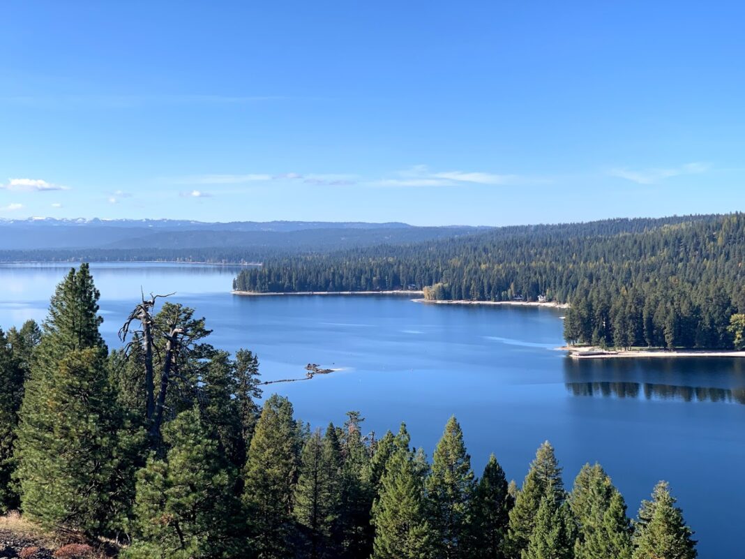 McCall