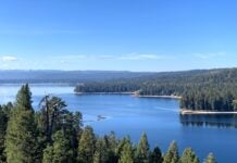 McCall