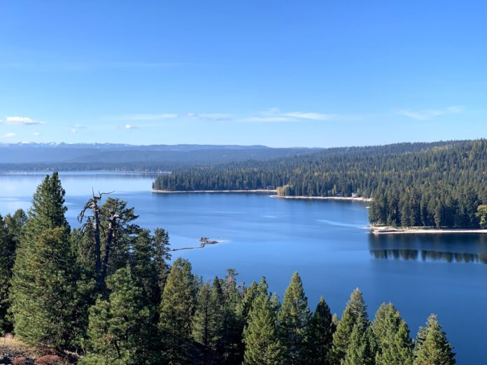 McCall